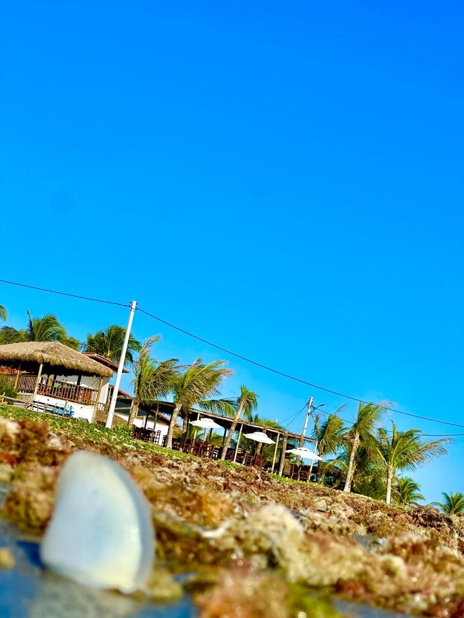 Seu Pedro Lounge Praia - Pousada E Kite Center Ікапуї Екстер'єр фото